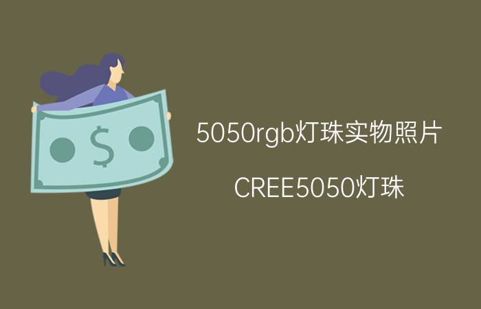 5050rgb灯珠实物照片 CREE5050灯珠，原装科锐芯片能做到什么参数？